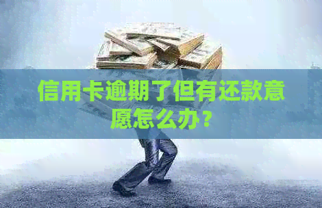 信用卡逾期了但有还款意愿怎么办？