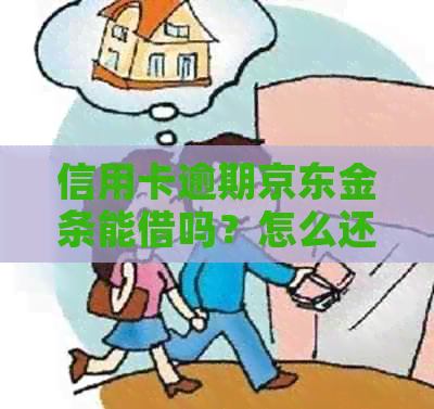 信用卡逾期京东金条能借吗？怎么还款？逾期会影响信用卡和金条的办理。