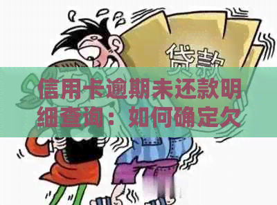 信用卡逾期未还款明细查询：如何确定欠款金额及处理建议