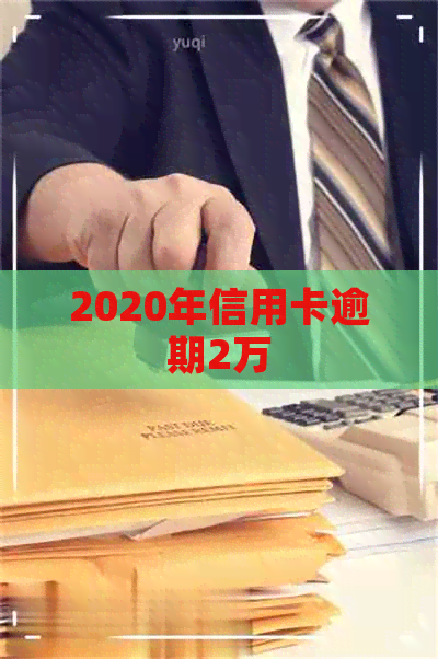 2020年信用卡逾期2万