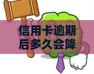 信用卡逾期后多久会降低信用额度？——关于信用额度降低的时间节点探讨