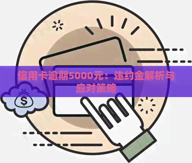 信用卡逾期5000元：违约金解析与应对策略