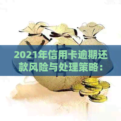 2021年信用卡逾期还款风险与处理策略：逾期金额、信用评分和法律责任全解析