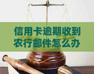 信用卡逾期收到农行邮件怎么办：欠款处理和沟通策略