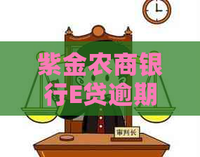 紫金农商银行E贷逾期流程及注意事项