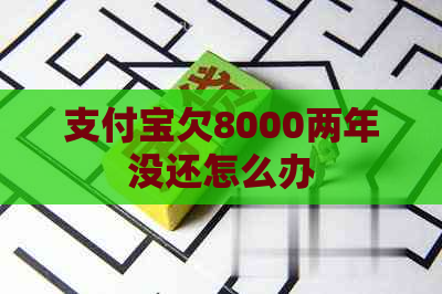 支付宝欠8000两年没还怎么办