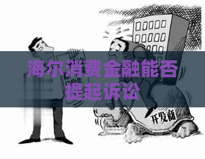 海尔消费金融能否提起诉讼