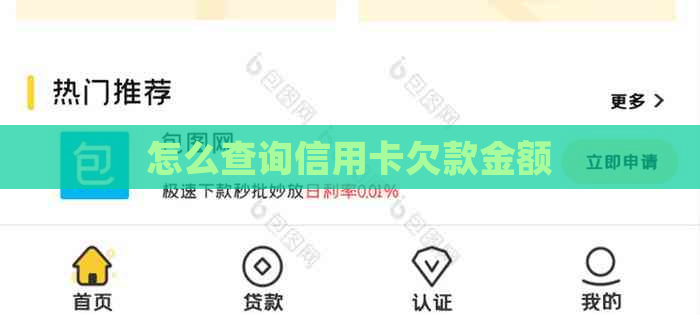怎么查询信用卡欠款金额