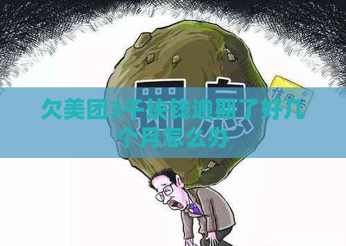 欠美团3千块钱逾期了好几个月怎么办