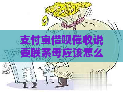 支付宝借呗说要联系母应该怎么处理