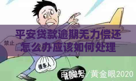 平安贷款逾期无力偿还怎么办应该如何处理