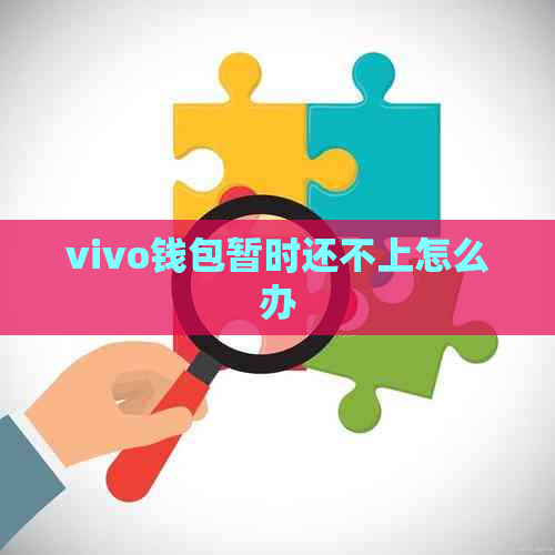 vivo钱包暂时还不上怎么办