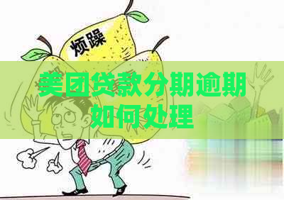 美团贷款分期逾期如何处理