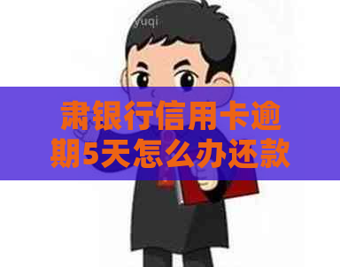 肃银行信用卡逾期5天怎么办还款