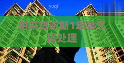 拍来贷逾期1年会怎样处理