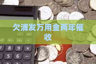 欠浦发万用金两年