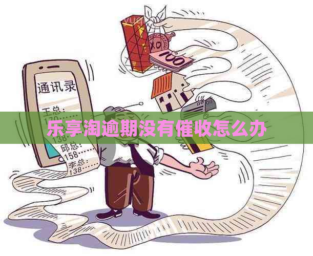 乐享淘逾期没有怎么办