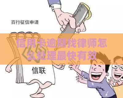 信用卡逾期找律师怎么处理最快有效