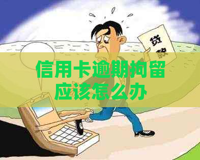 信用卡逾期拘留应该怎么办