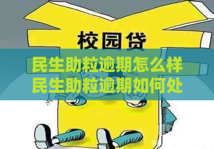 民生助粒逾期怎么样民生助粒逾期如何处理