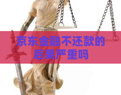 京东金融不还款的后果严重吗