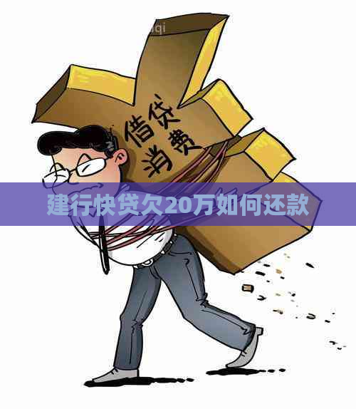 建行快贷欠20万如何还款