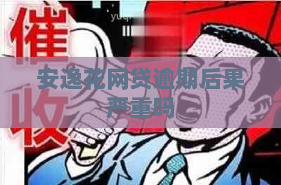 安逸花网贷逾期后果严重吗