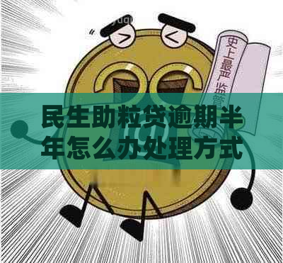 民生助粒贷逾期半年怎么办处理方式