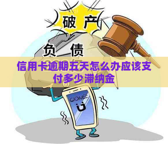 信用卡逾期五天怎么办应该支付多少滞纳金