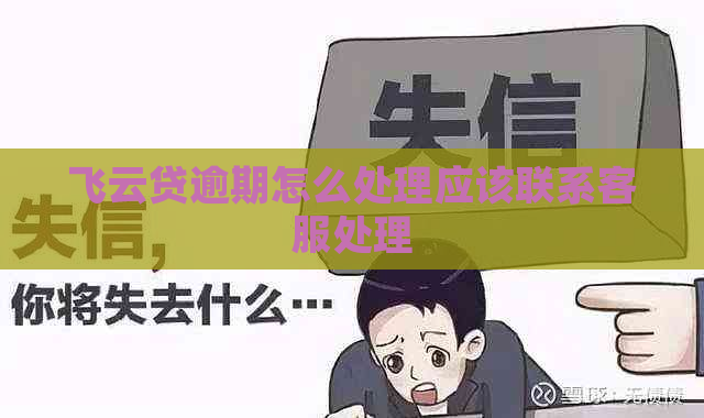 飞云贷逾期怎么处理应该联系客服处理