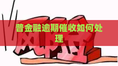 普金融逾期如何处理