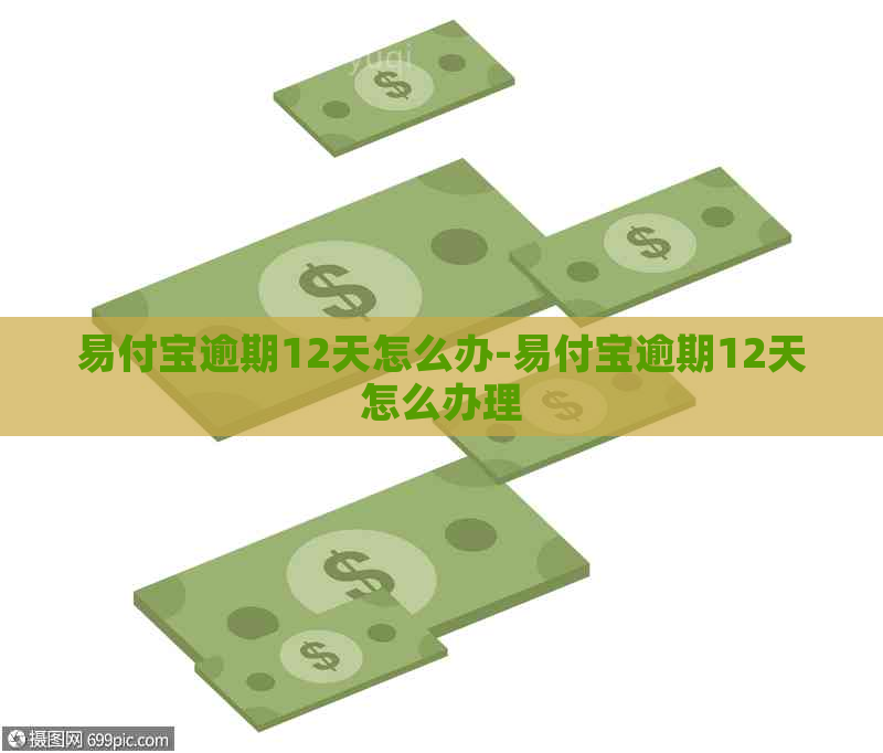 易付宝逾期12天怎么办-易付宝逾期12天怎么办理