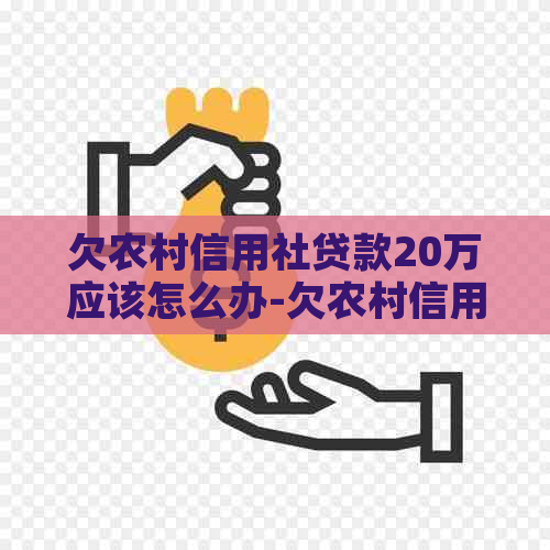 欠农村信用社贷款20万应该怎么办-欠农村信用社贷款20万应该怎么办理