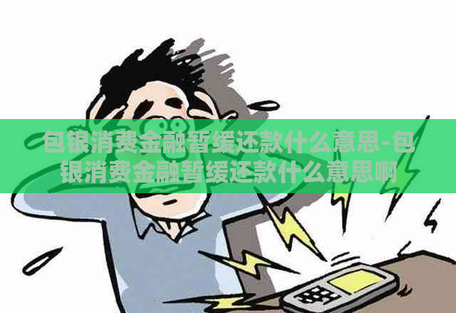 包银消费金融暂缓还款什么意思-包银消费金融暂缓还款什么意思啊