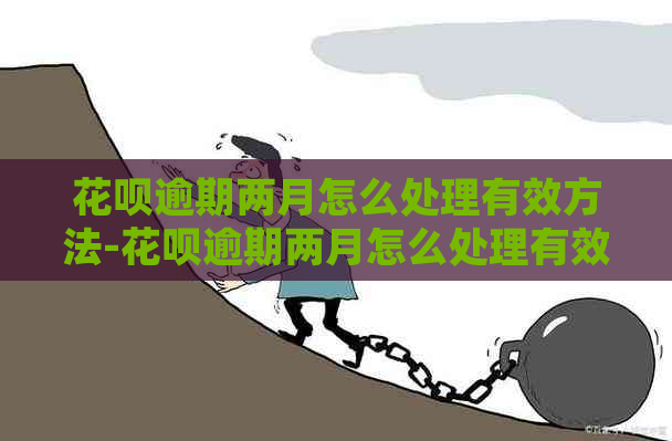 花呗逾期两月怎么处理有效方法-花呗逾期两月怎么处理有效方法图片