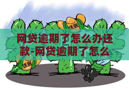 网贷逾期了怎么办还款-网贷逾期了怎么办还款不了