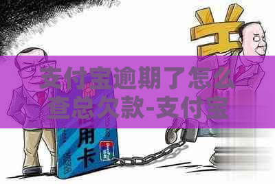 支付宝逾期了怎么查总欠款-支付宝逾期了怎么查总欠款多少钱