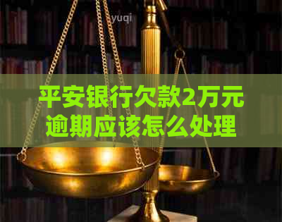 平安银行欠款2万元逾期应该怎么处理-平安银行欠款2万元逾期应该怎么处理呢