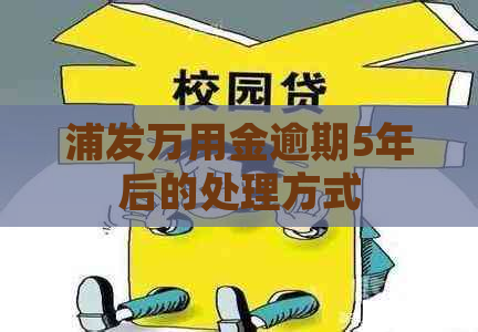 浦发万用金逾期5年后的处理方式