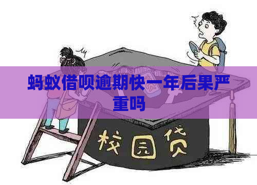 蚂蚁借呗逾期快一年后果严重吗