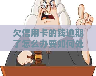 欠信用卡的钱逾期了怎么办要如何处理