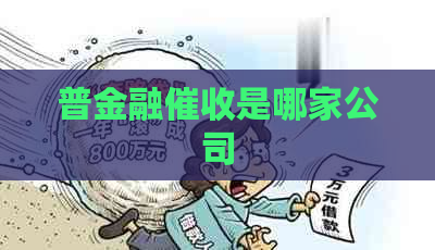 普金融是哪家公司