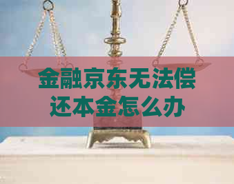 金融京东无法偿还本金怎么办