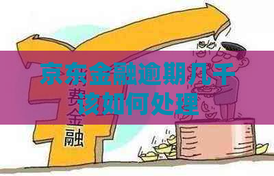 京东金融逾期几千该如何处理