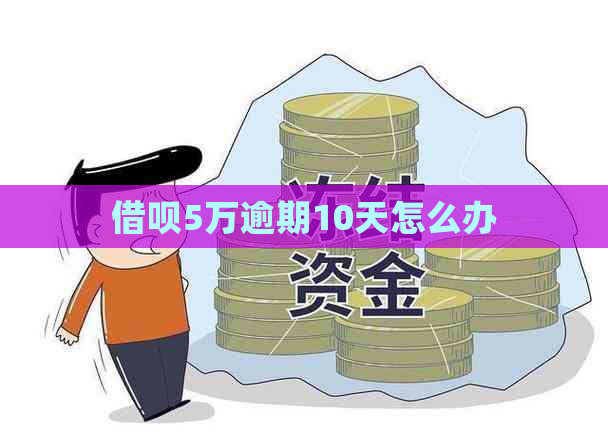 借呗5万逾期10天怎么办