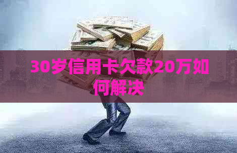 30岁信用卡欠款20万如何解决