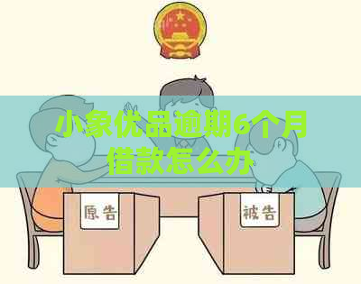 小象优品逾期6个月借款怎么办