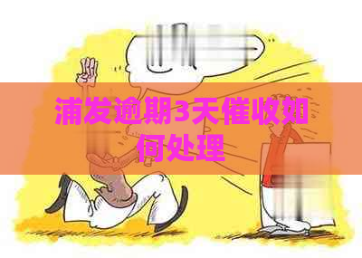 浦发逾期3天如何处理