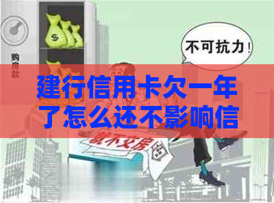 建行信用卡欠一年了怎么还不影响信用