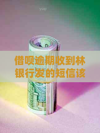 借呗逾期收到林银行发的短信该怎么处理